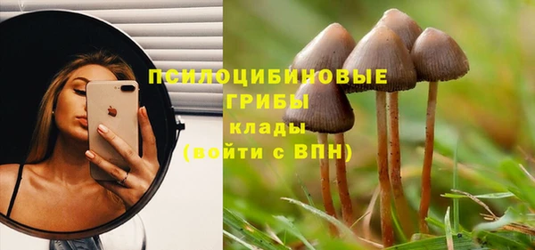 герыч Арсеньев